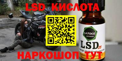 apvp Кингисепп