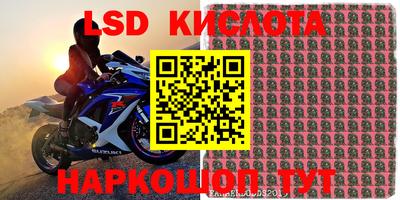 стаф Кимры