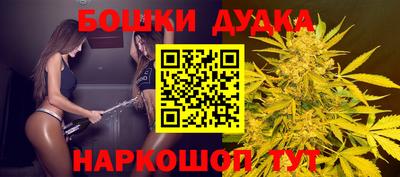 шишки Кинель
