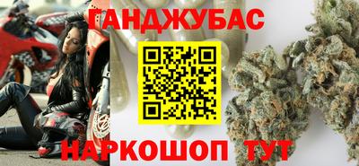 apvp Кингисепп