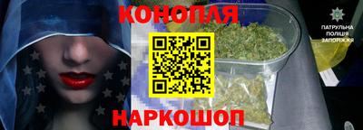 стаф Кимры