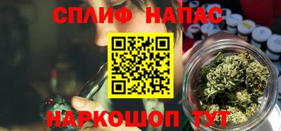 apvp Кингисепп