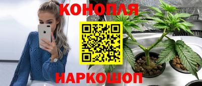стаф Кимры