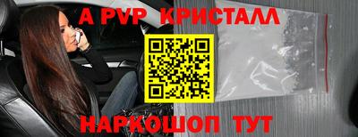 шишки Кинель