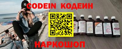 apvp Кингисепп