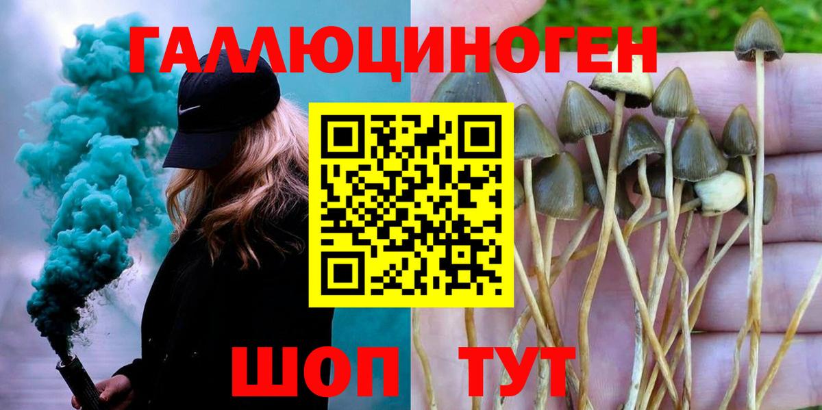 Галлюциногенные грибы мухоморы Коммунар